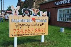 Pampered-Pooch-580x490